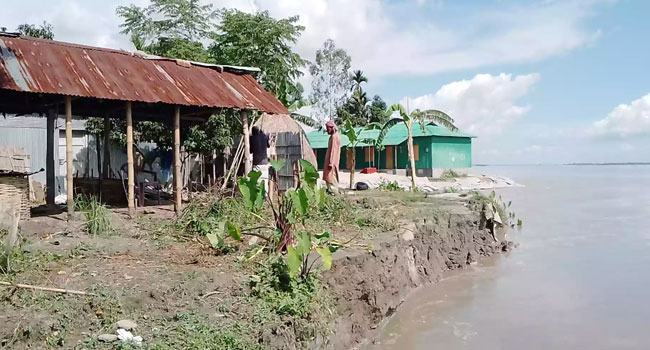 কুড়িগ্রামে বন্যার পানি কমে তিস্তায় তীব্র ভাঙন