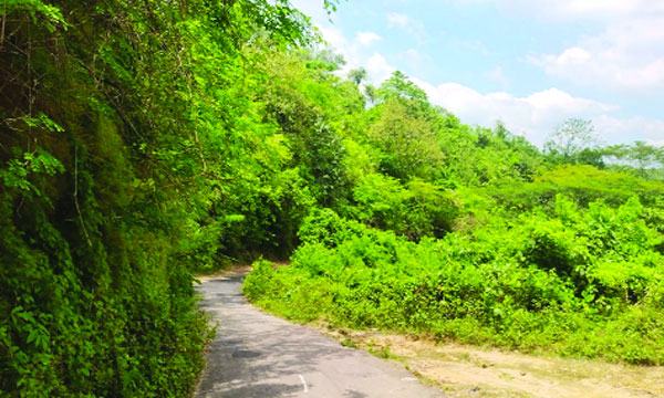 আঁকাবাঁকা পথ আর নয়নাভিরাম স্নিগ্ধ পাহাড় দেখে মুগ্ধ হবেন যে কেউ