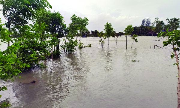 ভারী বর্ষণে কুয়াকাটায় জনজীবন বিপর্যস্ত