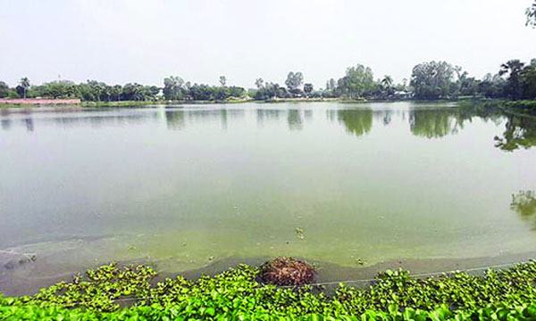 সিরাজগঞ্জের দরিদ্র সমাজভিত্তিক মৎস্য চাষের পুকুর প্রভাবশালীদের দখলে
