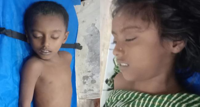 ভাইকে বাঁচাতে যেয়ে বোনেরও মৃত্যু