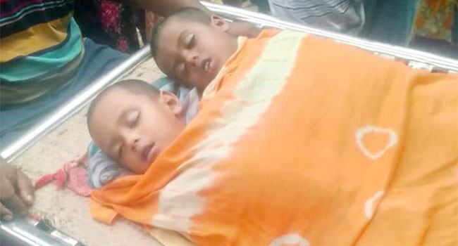 পাবনায় শাপলা তুলতে গিয়ে পানিতে ডুবে ২ শিশুর মৃত্যু