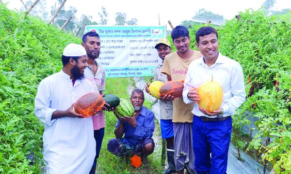 গ্রীষ্মকালীন তরমুজ চাষে আগ্রহ বাড়ছে