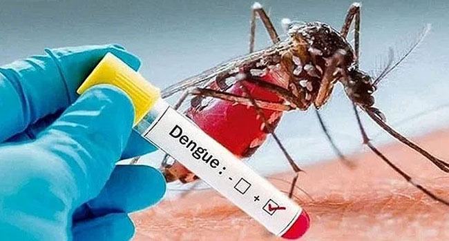 ডেঙ্গুতে ৩ জনের মৃত্যু, আক্রান্ত ২২৮