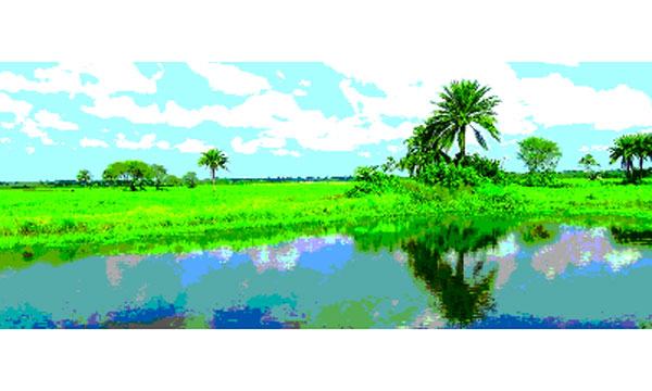 বর্ষা বিদায় চির সবুজের বাংলাদেশ