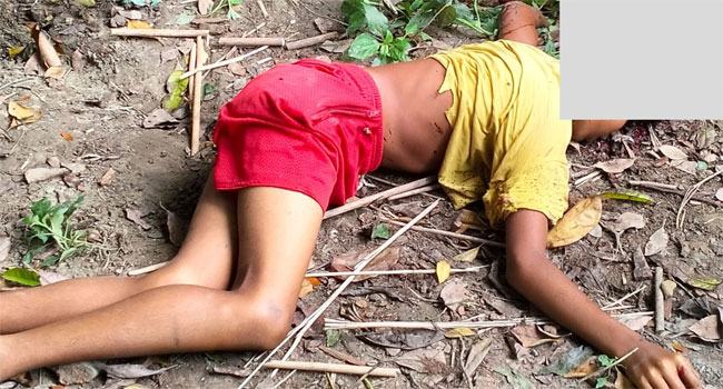 অভাবের তাড়নায় ১১ বছর বয়সেই ভ্যান চালাতে নেমে দুর্ঘটনায় মৃত্যু