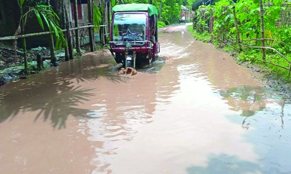 সামান্য বৃষ্টিতেই হাঁটু পানি