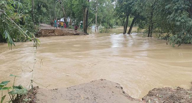 ফুলগাজী-পরশুরামে বিস্তীর্ণ এলাকা প্লাবিত, সাড়ে ১৪ হাজার পরিবার পানিবন্দী