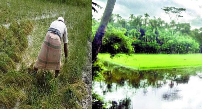 বামনায় অব্যাহত ভারী বর্ষনে নিম্নাঞ্চল প্লাবিত