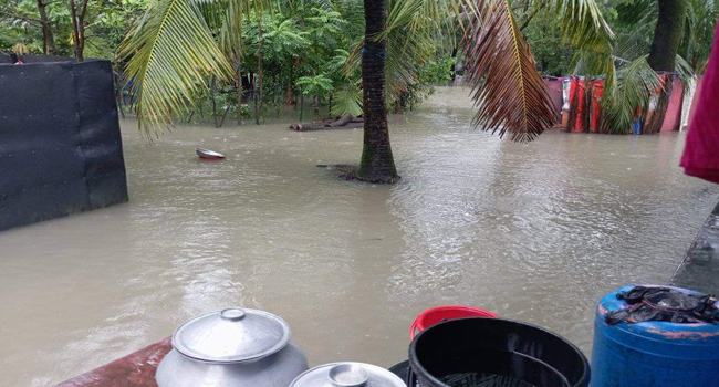 নোয়াখালীতে ভারী বর্ষণ ও বন্যায় পানিবন্দী লাখো মানুষ