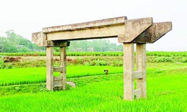 মেলান্দহে ফসলের মাঠে দাঁড়িয়ে আছে সেতু