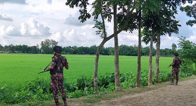 সীমান্তে কাঁটাতারের বেড়া নির্মাণের চেষ্টা বিএসএফের, বাধা বিজিবির