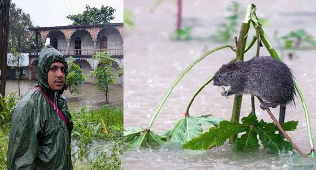 সোনাগাজীতে উজানের পানির চাপ, ঢুকছে লোকালয়ে
