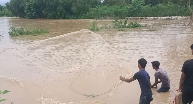 মৌলভীবাজারে বানের পানিতে মাছ ধরতে গিয়ে যুবক নিখোঁজ
