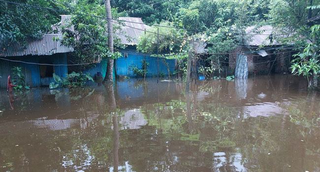 নোয়াখালীতে বন্যার্তদের খাদ্য সংকট, সাপের কামড়ে ৩৫ জন হাসপাতালে ভর্তি