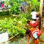 খাল বিলের অর্ধশতাধিক বাঁধ অপসারণ করল প্রশাসন