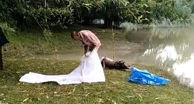 চুয়াডাঙ্গায় নিখোঁজ যুবকের ভাসমান লাশ উদ্ধার
