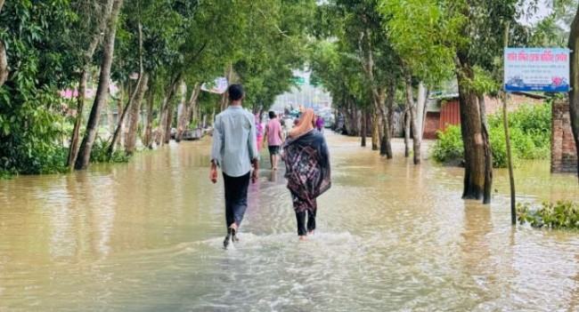 ফেনীতে বন্যা পরিস্থিতির সার্বিক উন্নতি