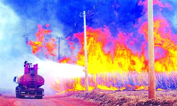 ব্রাজিলের আখ ক্ষেতগুলোতে ছড়িয়ে পড়েছে দাবানল