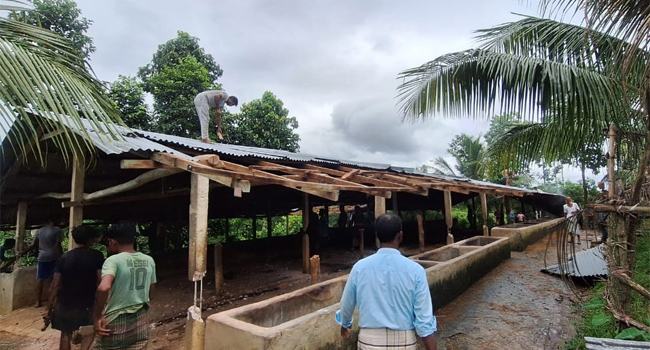 ড. হাছান মাহমুদের ভাইয়ের কব্জা থেকে ৫৫ একক বন উদ্ধার