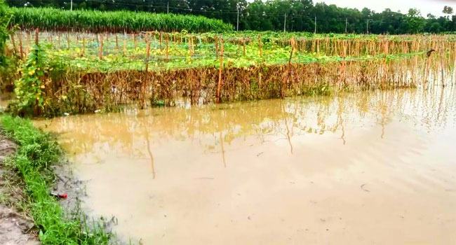 বন্যা : চট্টগ্রামে কৃষি ও পশুসম্পদ খাতে ৪০০ কোটি টাকার ক্ষতি