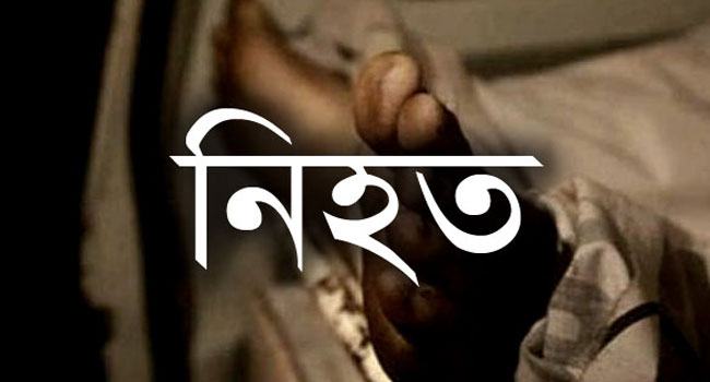 মেহেরপুরে মাইক্রোবাসের ধাক্কায় ভ্যানচালক নিহত