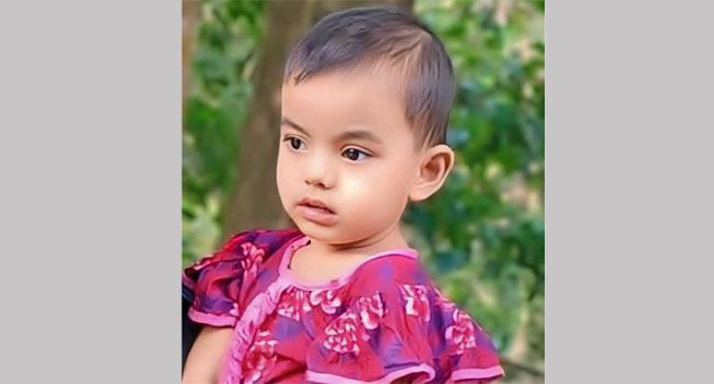 মিরসরাইয়ে সাপের কামড়ে শিশুর মৃত্যু