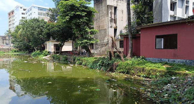 ব্রাহ্মণবাড়িয়ায় থানাপুকুরে ঝাঁপ দিয়ে অটোরিকশা চালকের মৃত্যু