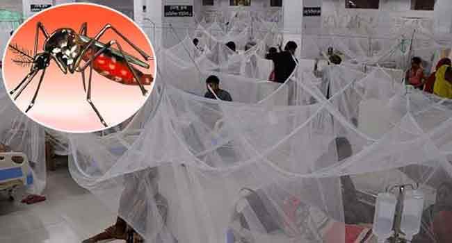 ডেঙ্গুতে আরো ৪ জনের মৃত্যু, হাসপাতালে ভর্তি ৩৪৬