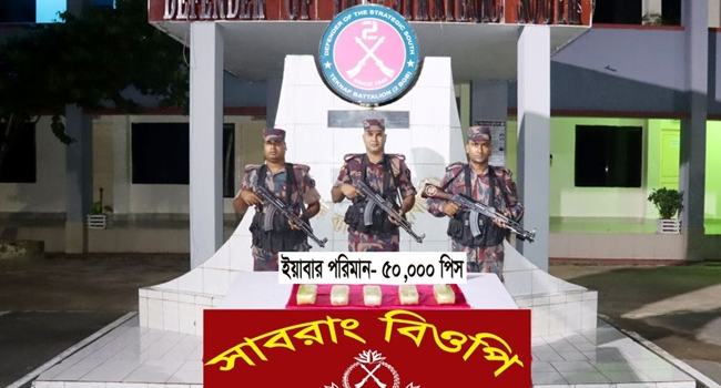 টেকনাফে ৫০ হাজার পিস ইয়াবা উদ্ধার