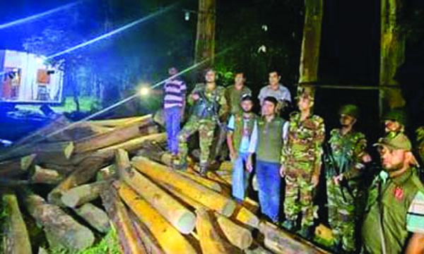 রাঙ্গুনিয়ায় যৌথ অভিযানে সেগুন কাঠ উদ্ধার