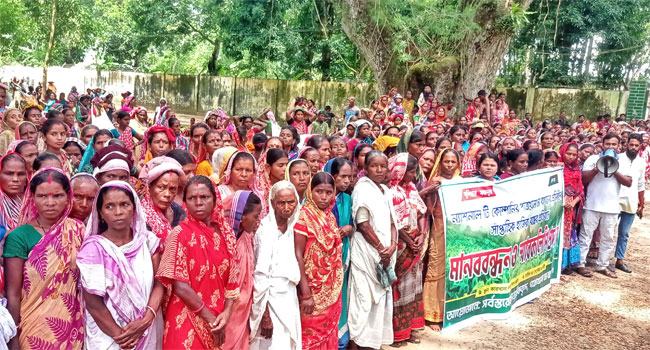 কমলগঞ্জে চা শ্রমিকদের মানববন্ধন, কর্মবিরতি