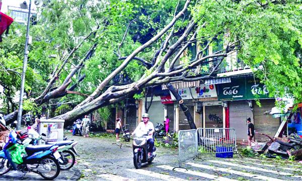 টাইফুন ইয়াগির আঘাতে ভিয়েতনামে ৪ জনের মৃত্যু