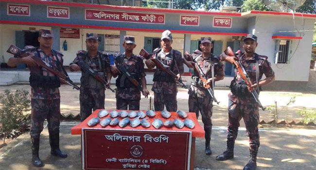 ভারতে পাচারের সময় মিরসরাইয়ে ইলিশ মাছ জব্দ