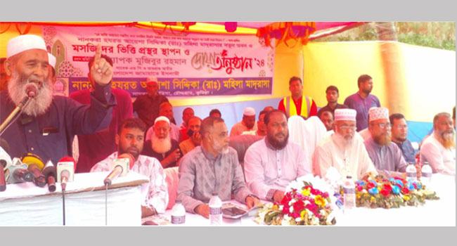 খুনি হাসিনার সরকার দেশের স্বার্থে কাজ করেনি : অধ্যাপক মজিবুর