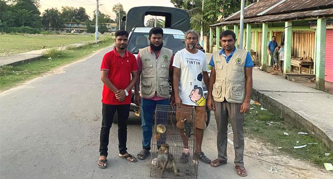 কমলগঞ্জে খাচায় বন্ধী থাকা বানর ও ময়না পাখি উদ্ধার