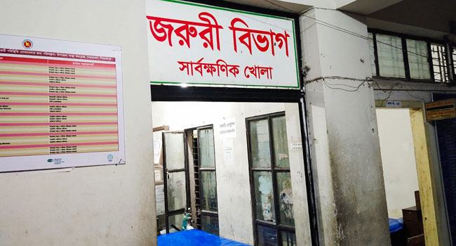 নেছারাবাদে এক দিনে কুকুরের কামড়ে আহত ১৭