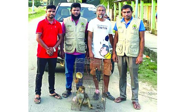 কমলগঞ্জে খাঁচায় বন্দী থাকা বানর ও ময়না পাখি উদ্ধার