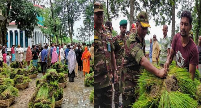 বুড়িচংয়ে ক্ষতিগ্রস্ত কৃষকদের মাঝে সেনাবাহিনীর ধানের চারা ও অর্থ সহায়তা