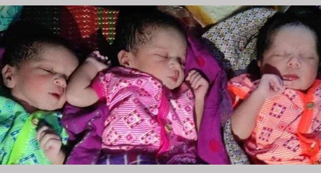 মিরসরাইয়ে একসাথে ৩ কন্যা জন্ম দিয়ে মৃত্যুশয্যায় রিনা
