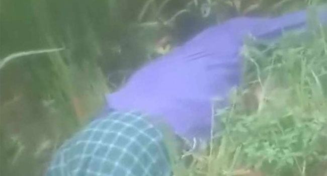 লালমনিরহাটে ধানক্ষেত থেকে বৃদ্ধের লাশ উদ্ধার