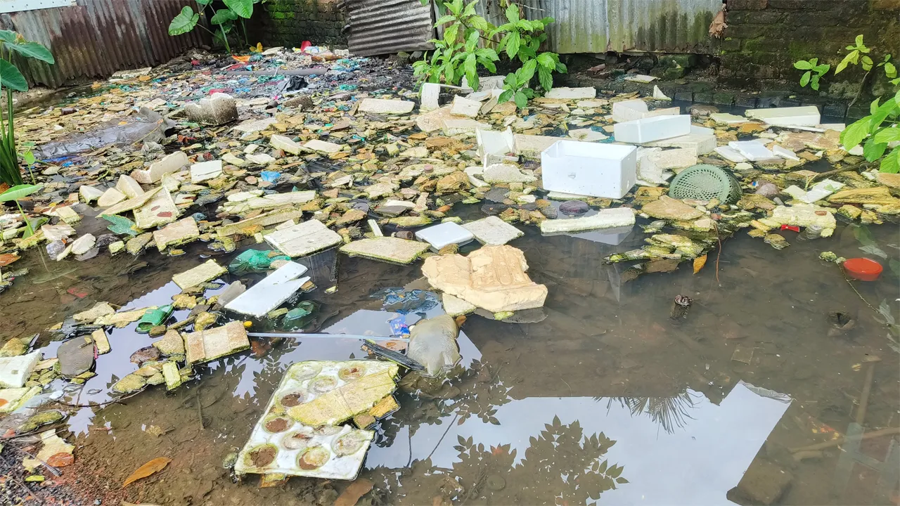 বেতাগী পৌর এলাকায় নর্দমা ও জলাশয়ে এডিস মশার লাভা, ডেঙ্গুর ঝুঁকিতে জনজীবন