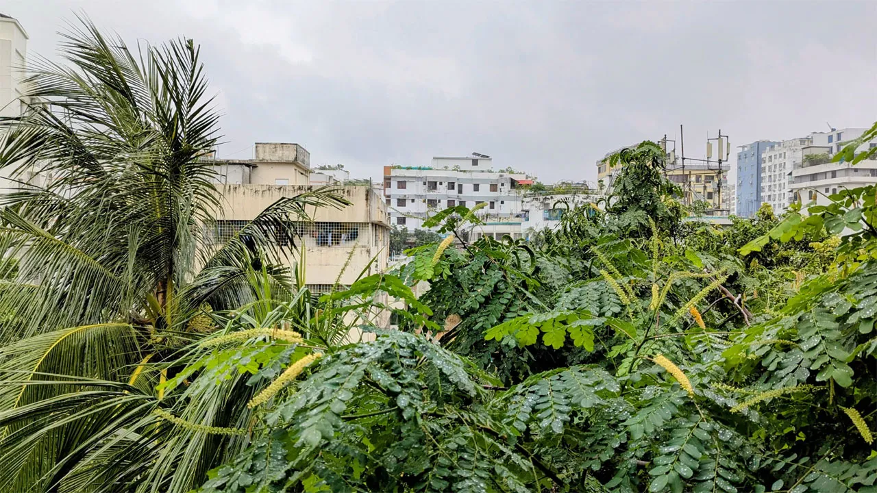 টানা বৃষ্টিতেও ঢাকার বাতাসের মানে উন্নতি নেই