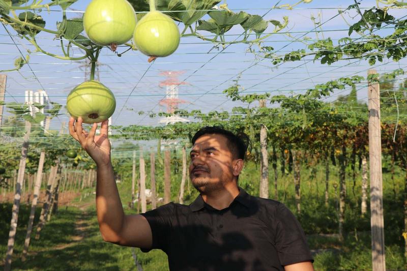 AI Agro-BD 1