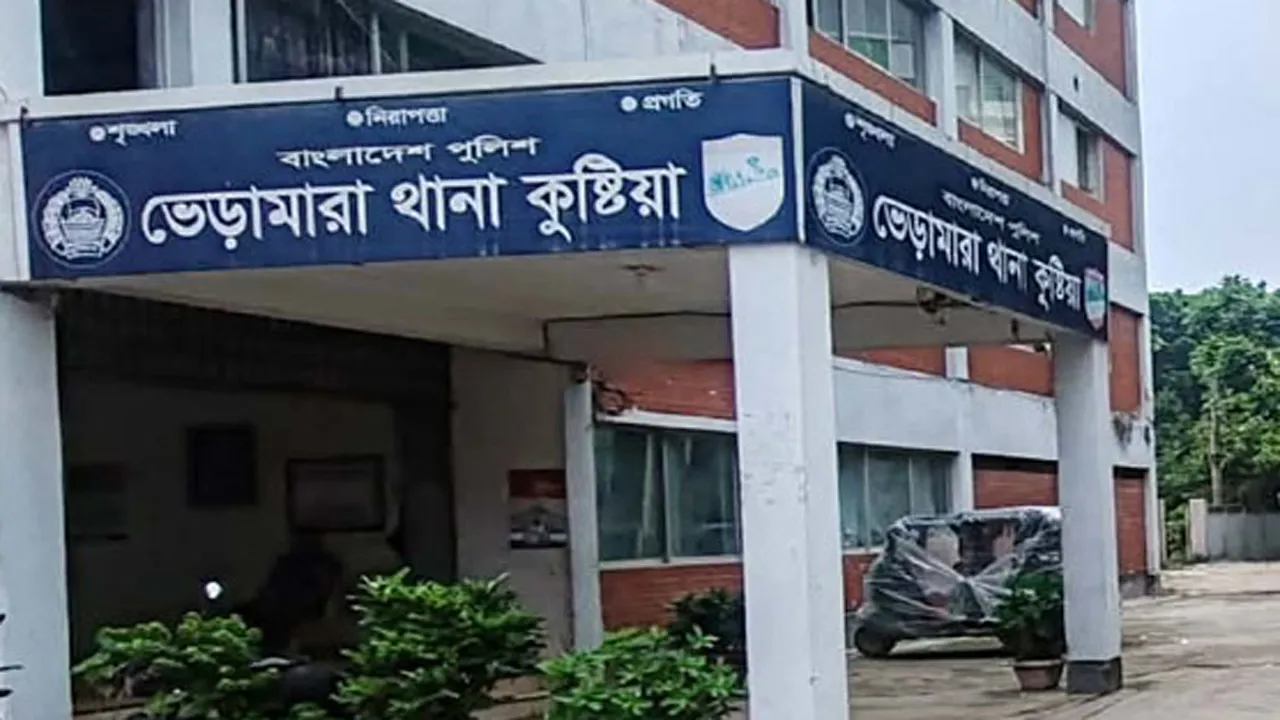ভেড়ামারায় বিদ্যুৎস্পৃষ্টে কৃষকের মৃত্যু
