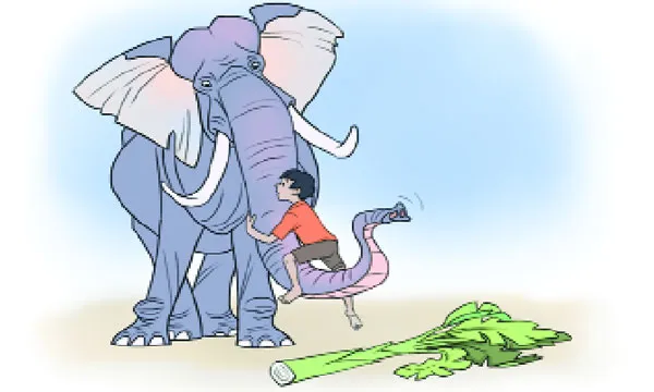 সোহেল ও হাতি
