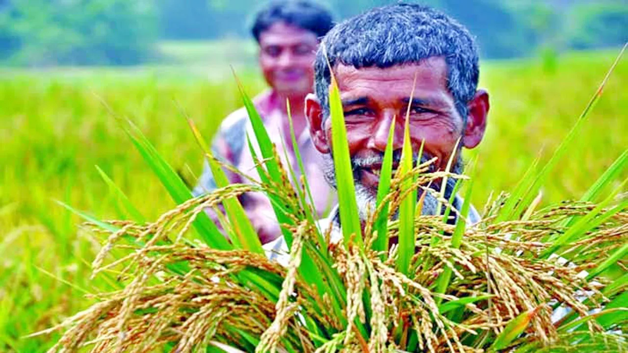 প্রকল্প খরচের ৩৭.৪৭ শতাংশই যাবে ভ্রমণে