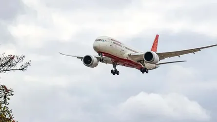 ভারতে বিমানটি পাখির আঘাতে বিধ্বস্ত হয়ে থাকতে পারে