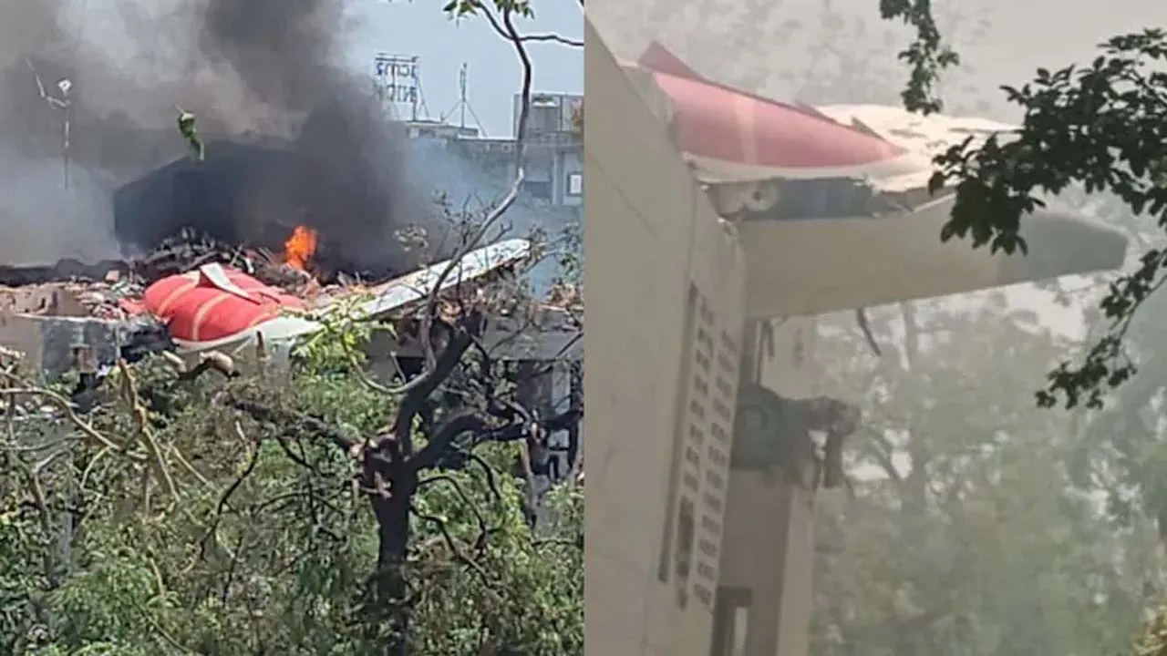 ভারতে বিমান দুর্ঘটনা : নিহত প্রায় ৩০০