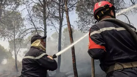 আলজেরিয়ায় দাবানলে ৬ জনের মৃত্যু
